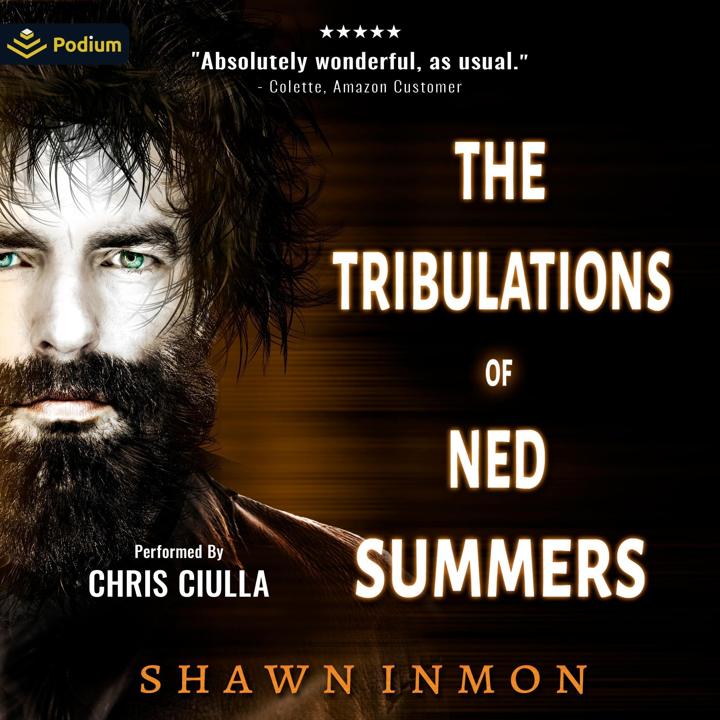 Cover art for The Tribulations of Ned Summers