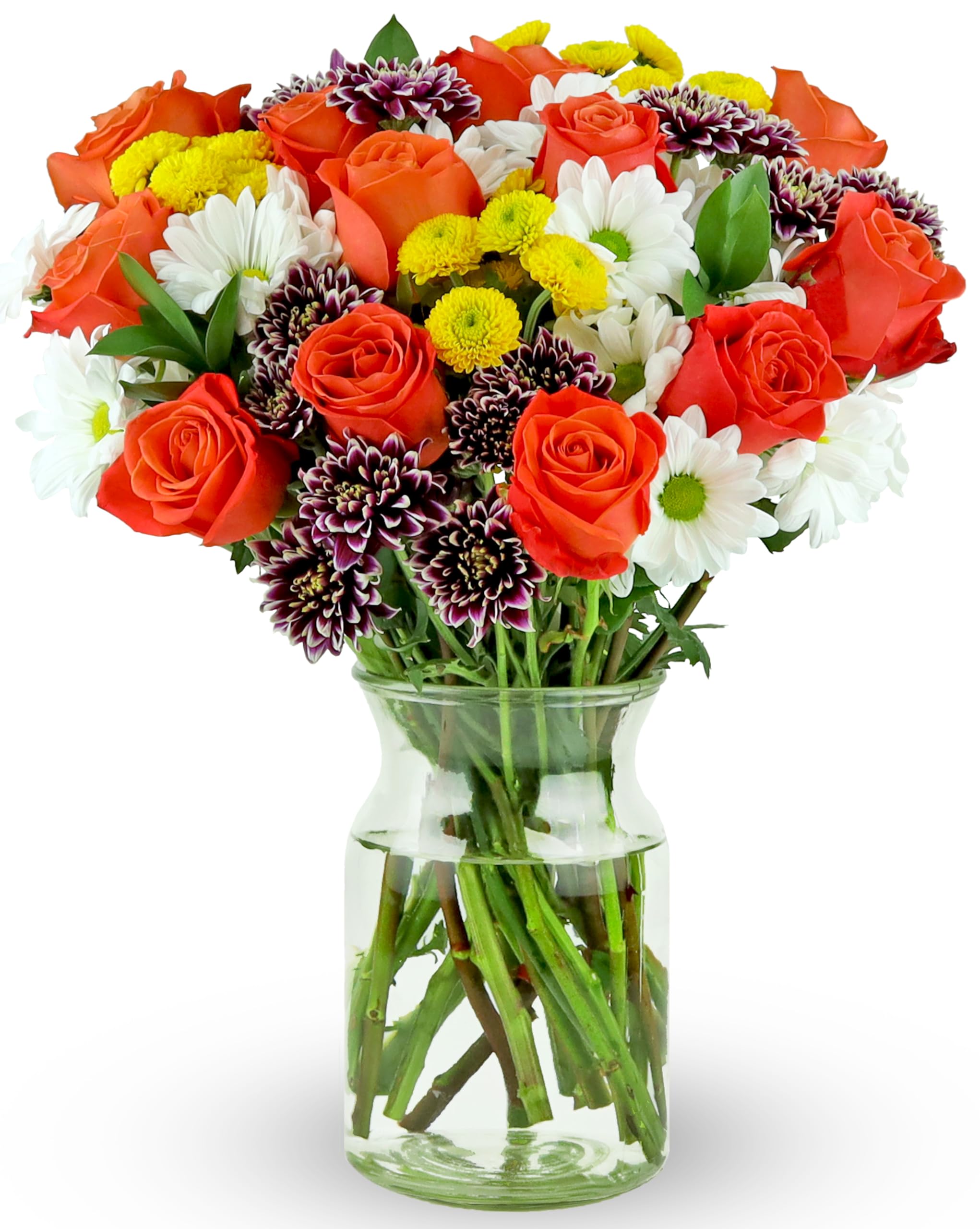 Benchmark Bouquets - Life is Good Orange (Glass Vase Included) - Fresh Flowers for Next Day Delivery - Gift for Birthday, Anniversary, Get Well, Sympathy, Congratulations