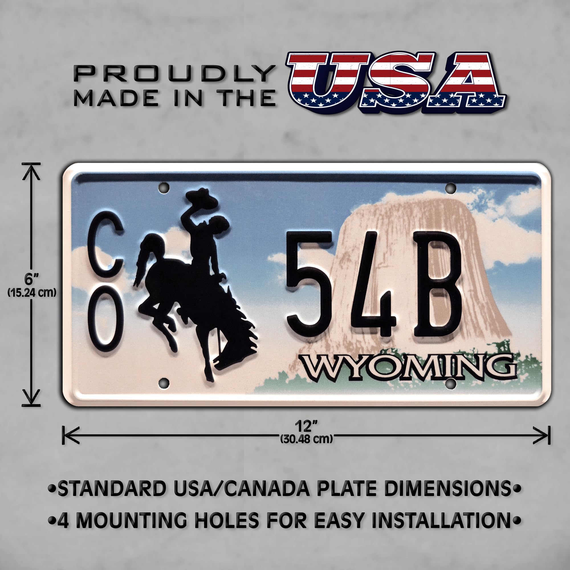Amazon.com: Celebrity Machines | Longmire | CO 54B | Vanity Plate