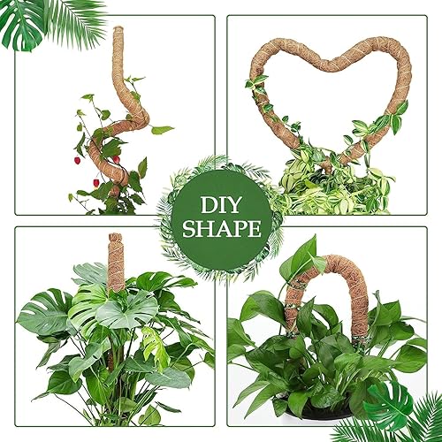 Miniatura 3 de Paquete de 2 postes de musgo para plantas Monstera  Postes de musgo de 25 pulgadas para plantas trepadoras Monstera, estacas de poste de musgo