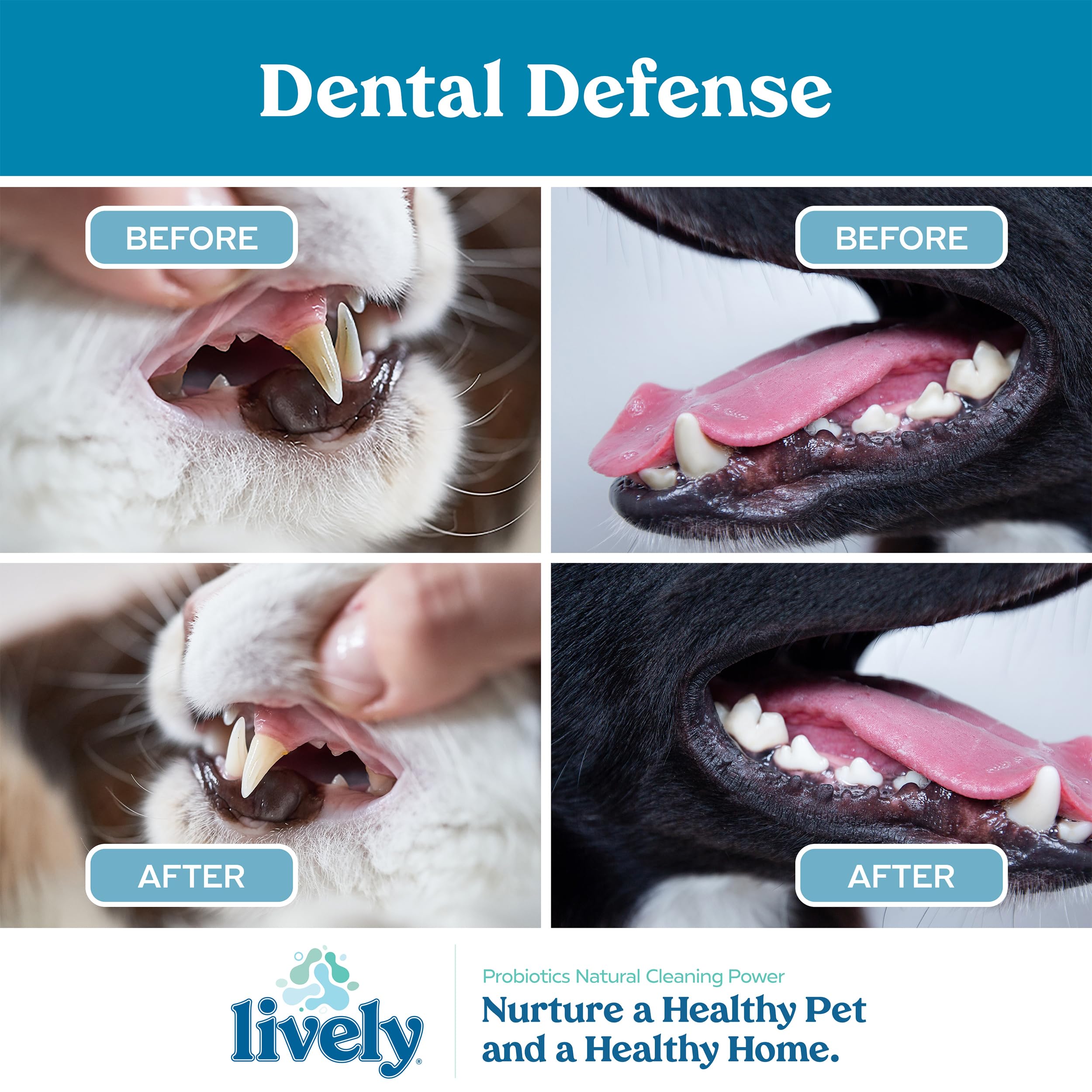 Lively Pet Breath & Dental Health Water Additive - image 5