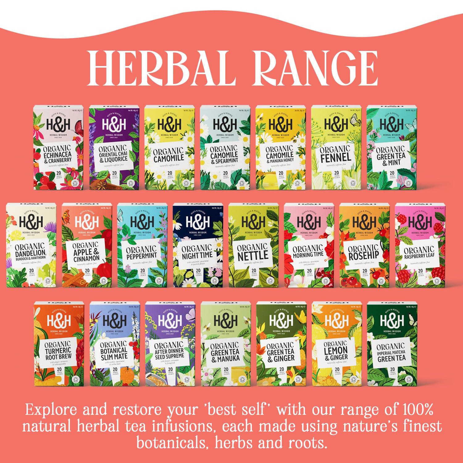 Heath & Heather - Organic Apple & Cinnamon Tea • Warming Fruit & Spice Infusion • Naturally Caffeine-Free • Vegan • Comforting & Aromatic • Multipack 6 x 20 Boxes (120 Tea Bags) — view 6