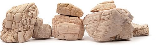 LANDEN Piedra de piel de elefante natural con múltiples texturas (18 libras, 3  9 pulgadas, 7 unidades) para acuario, paludario, terrarios,