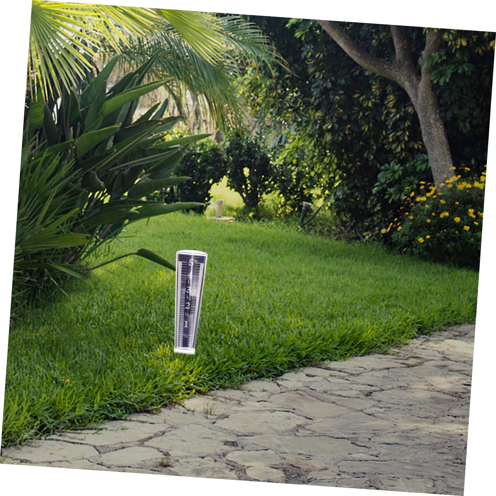 5stücke Rain Gauge Transparent Mit Präziser Regenmesszylinder Für Außenbereich Garten Regenmesser Langlebig Und Einfach Abzulesen Für Gartenbewässerung