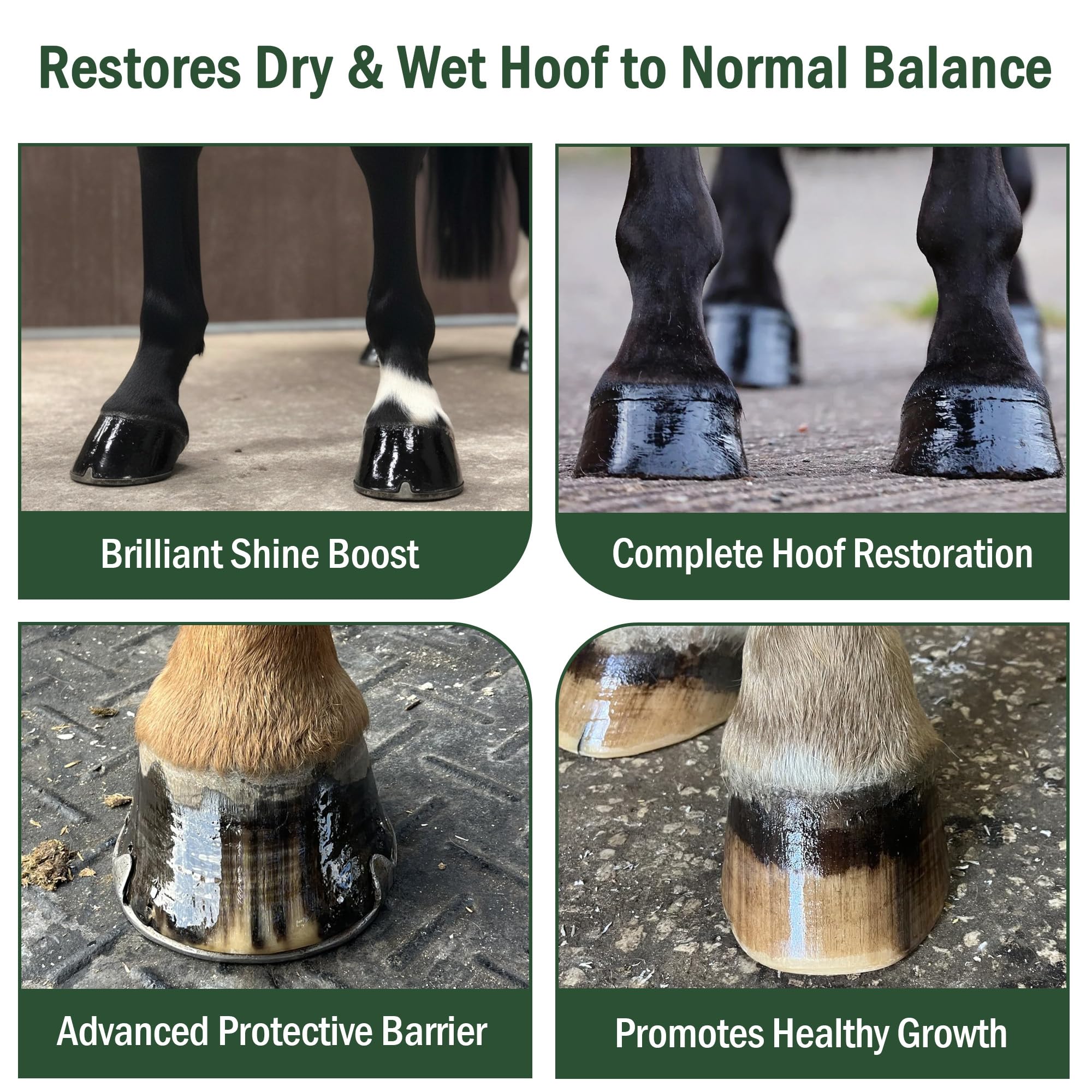 The Soleful Equine Hoof Oil, Horse Hoof White Line, Thrush, Abscesses, Overall Hoof Strength, Growth, Hoof Conditioning Rehydration. Certified Organic - Professionally Designed and Developed - image 4
