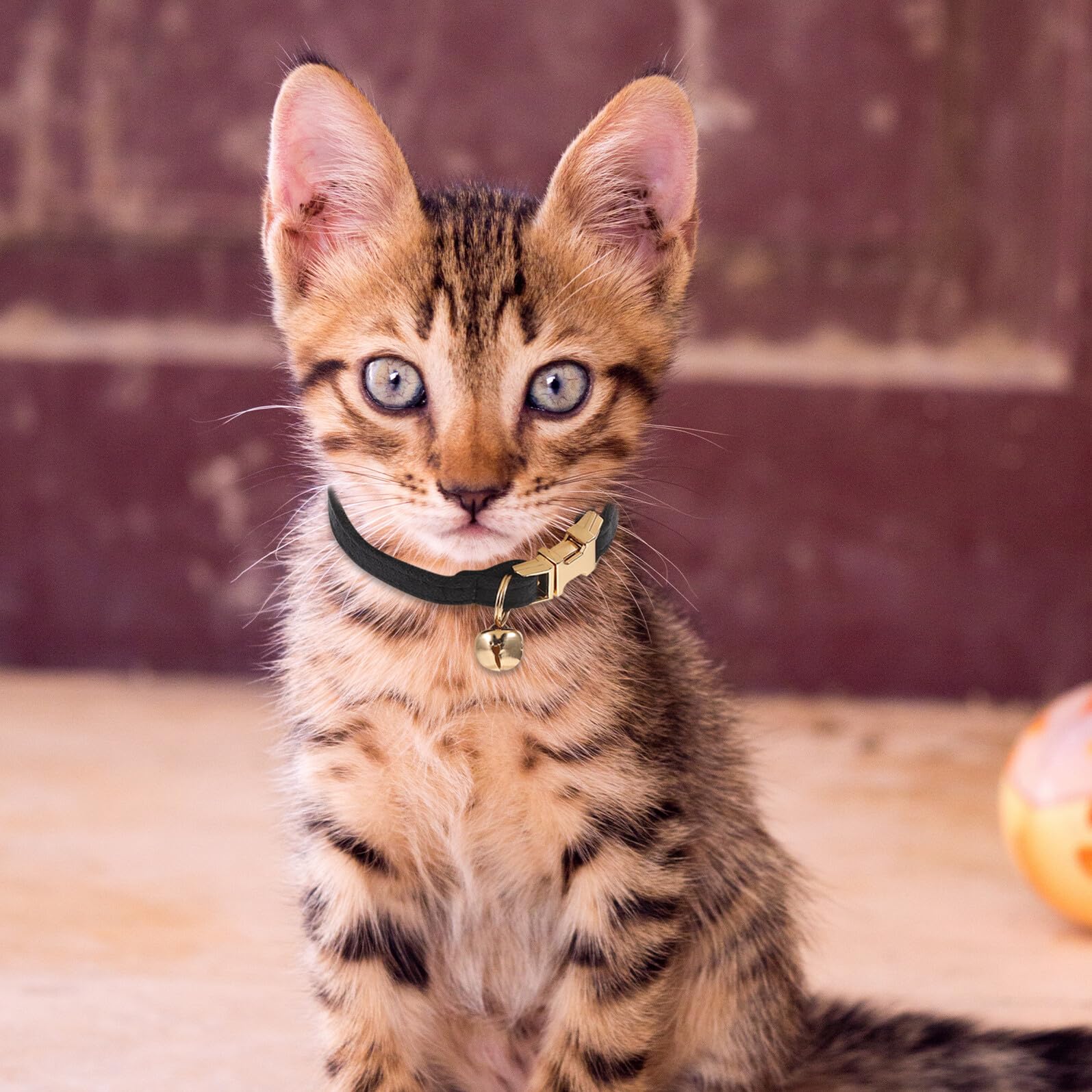 Collier Chat Velours Noir avec Clochette Boucle Réglable Accessoire Chic pour Chats Intérieur Cérémonie et Fêtes