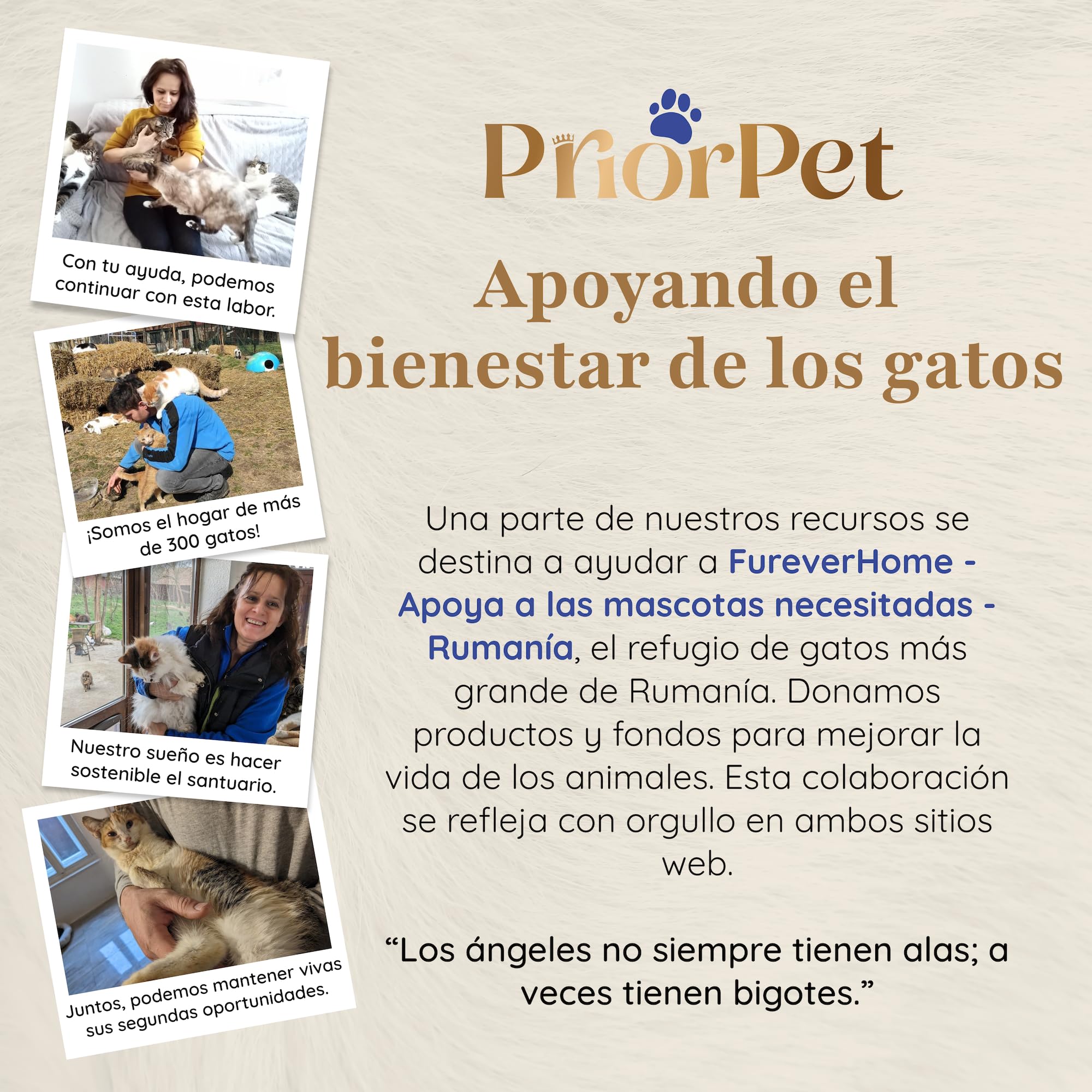 Árbol para Gatos para trepar, esconderse y Dormir - Rascador Patentado para Gatos con Hojas Intercambiables - Múltiples Niveles, fácil Montaje - Materiales Aptos para Mascotas, diseño Duradero