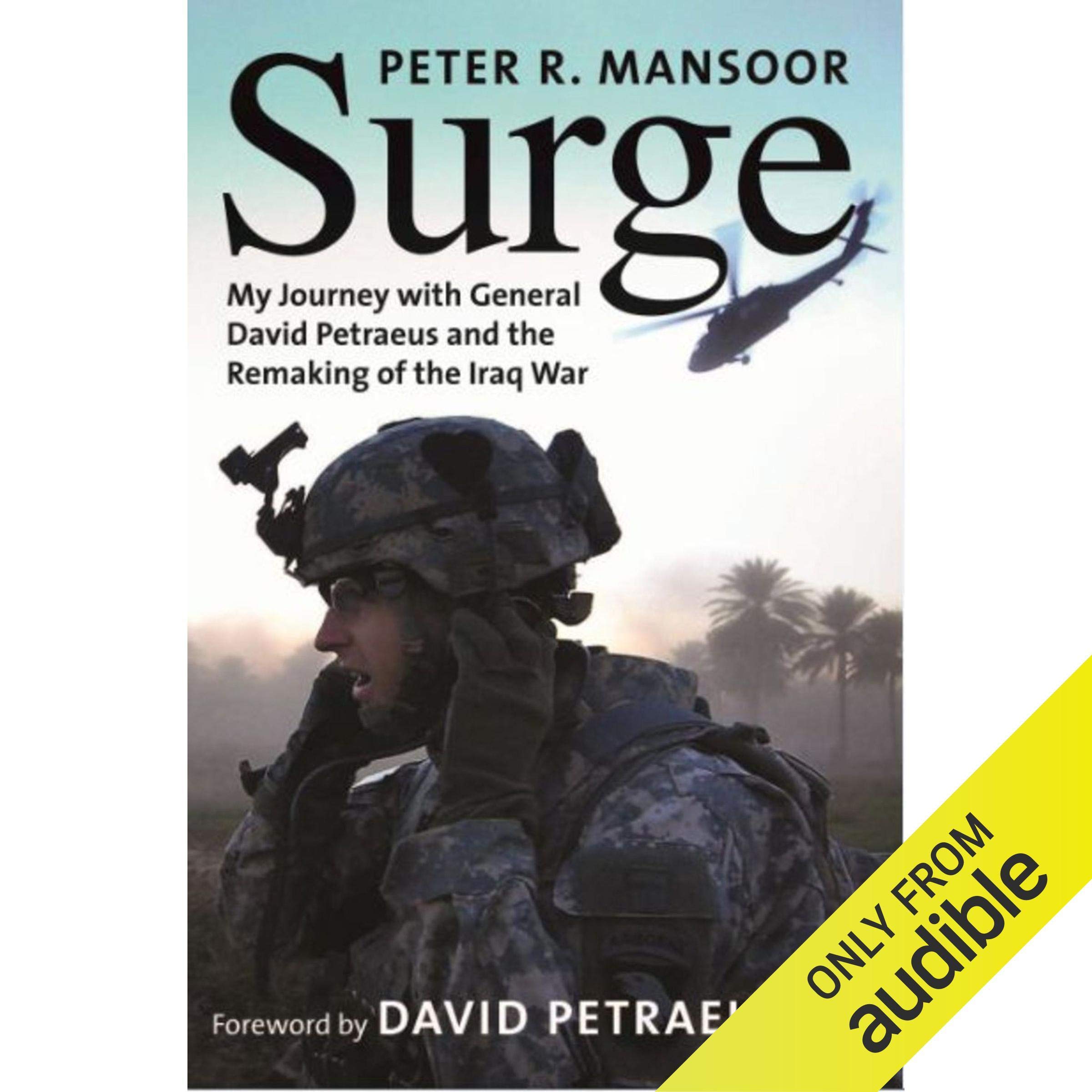 Cover art for Surge