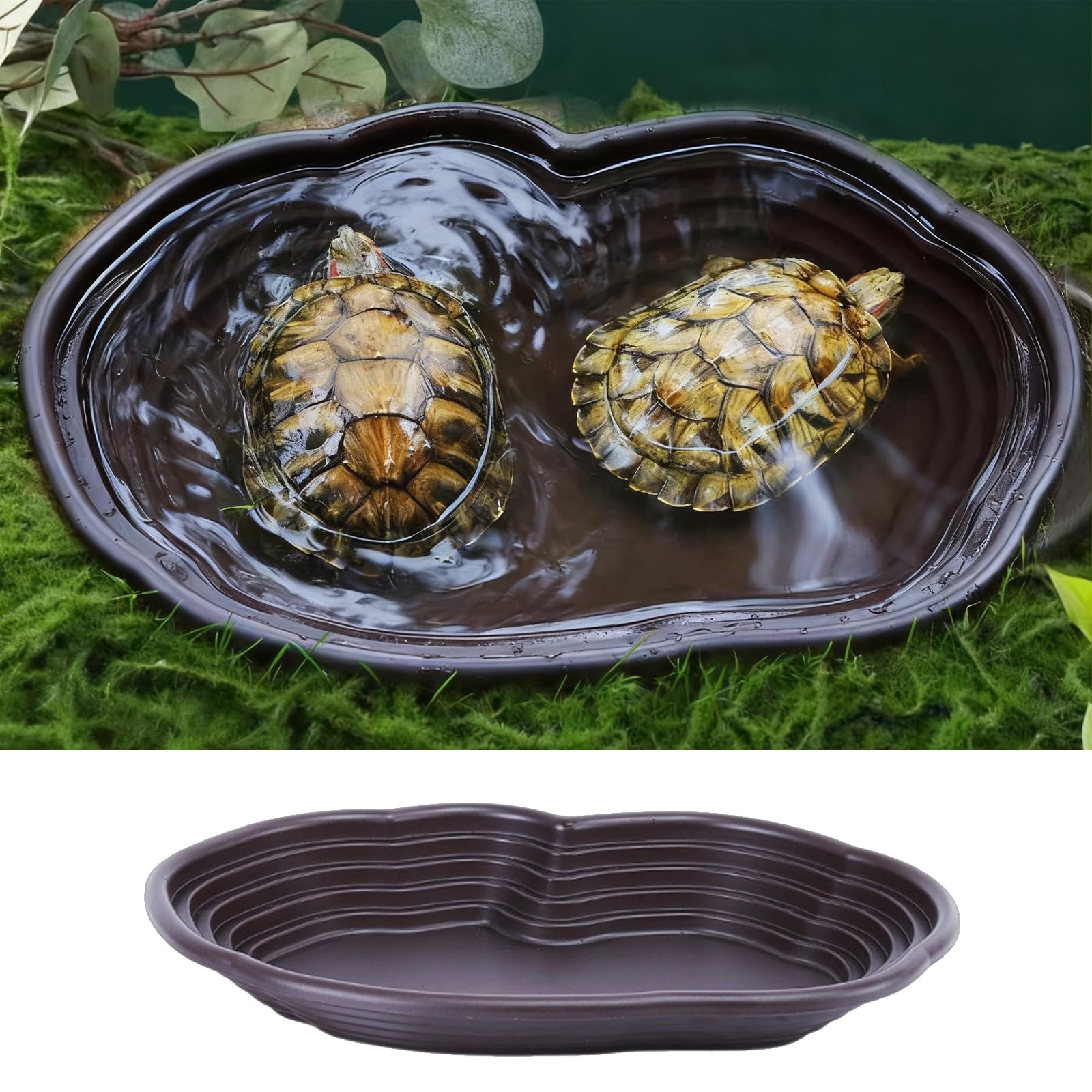 Grande Ciotola da Bagno per Tartarughe, Vasca da Bagno per Tartaruga, Piscina da Bagno per Rettili, Grande Ciotola per Acqua Rettile Adatto per Tartarughe, Rane Cornute e Altri Anfibi e Rettili