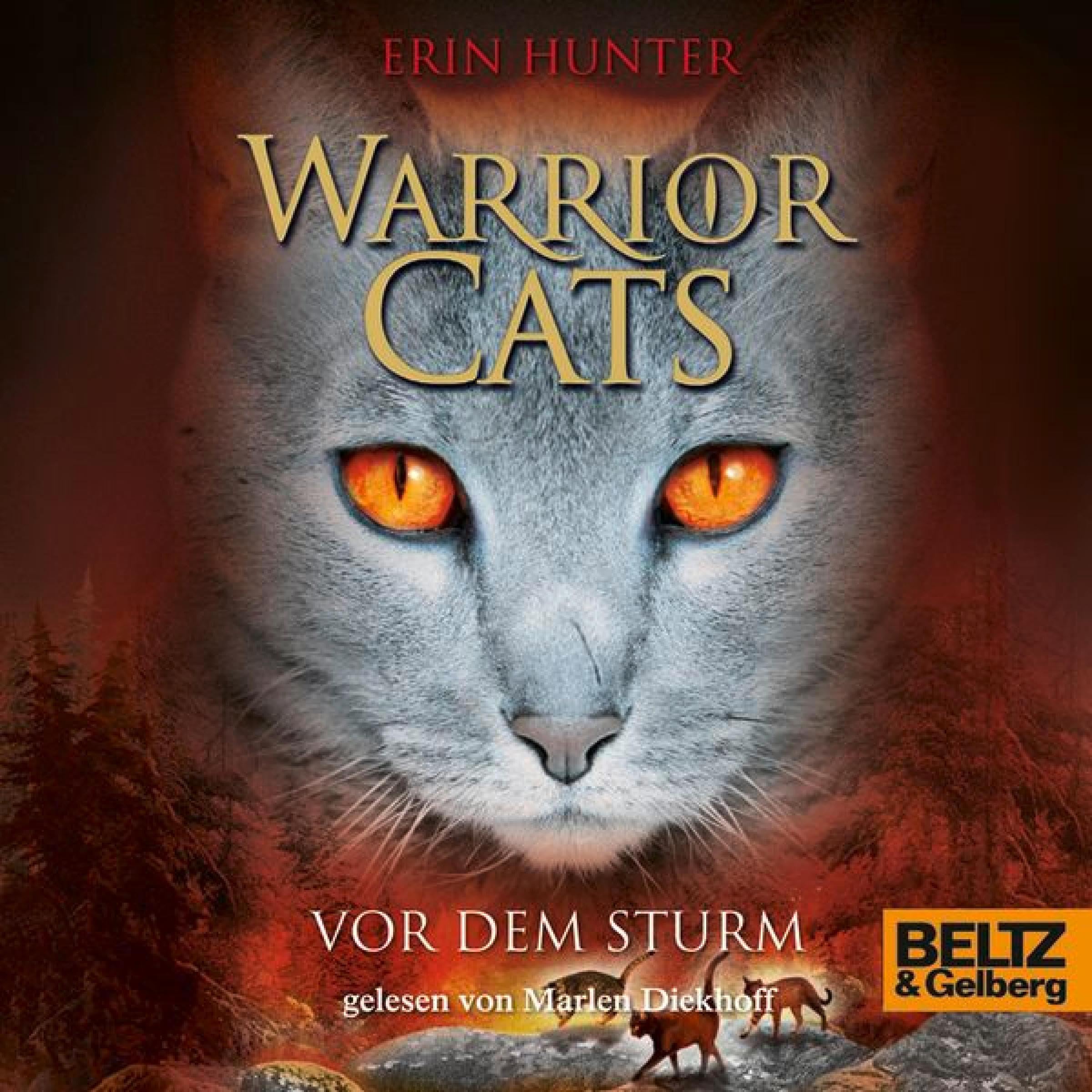 Cover art for Vor dem Sturm