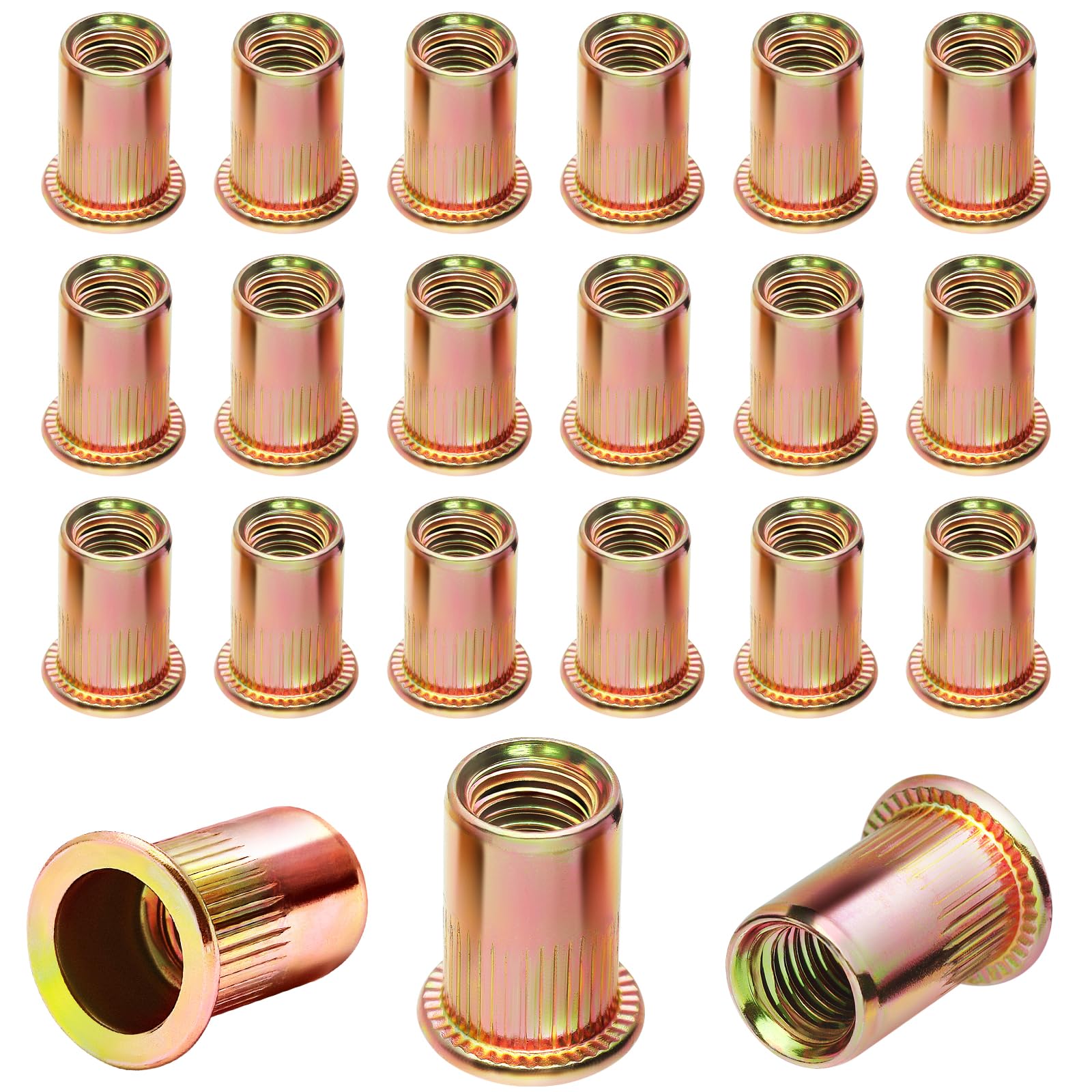 Nietmuttern Einziehmuttern Gewindenieten M6 Blindnietmuttern 80 Stück Verzinkt Nietmutter Kohlenstoffstahl Runde Flachkopf Innengewinde Rivet Hülsenmutter Verwendet für Metallplatten Rohre usw