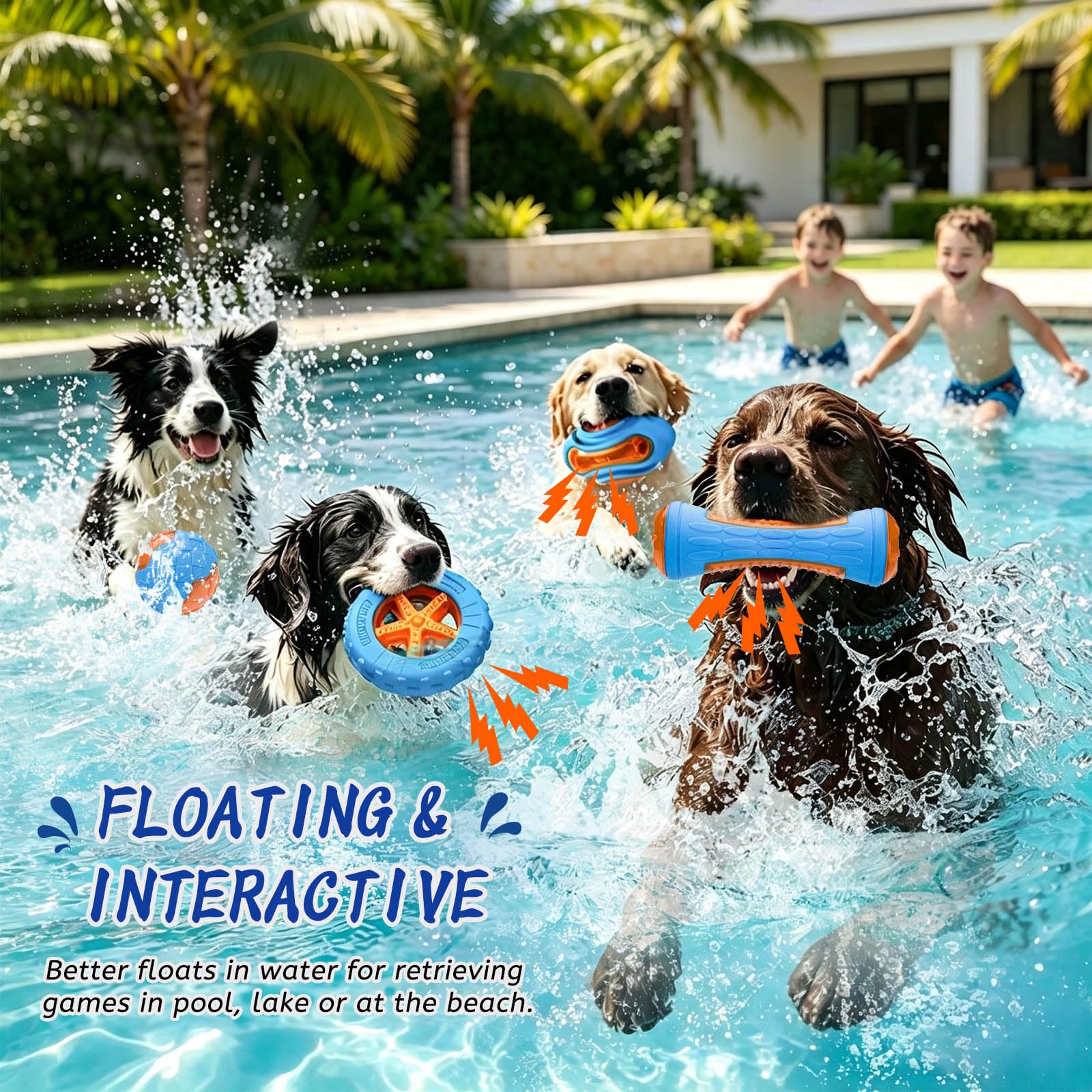 Quietschspielzeug für Hunde, 4 Stück, TPR, schwimmendes Pool- und