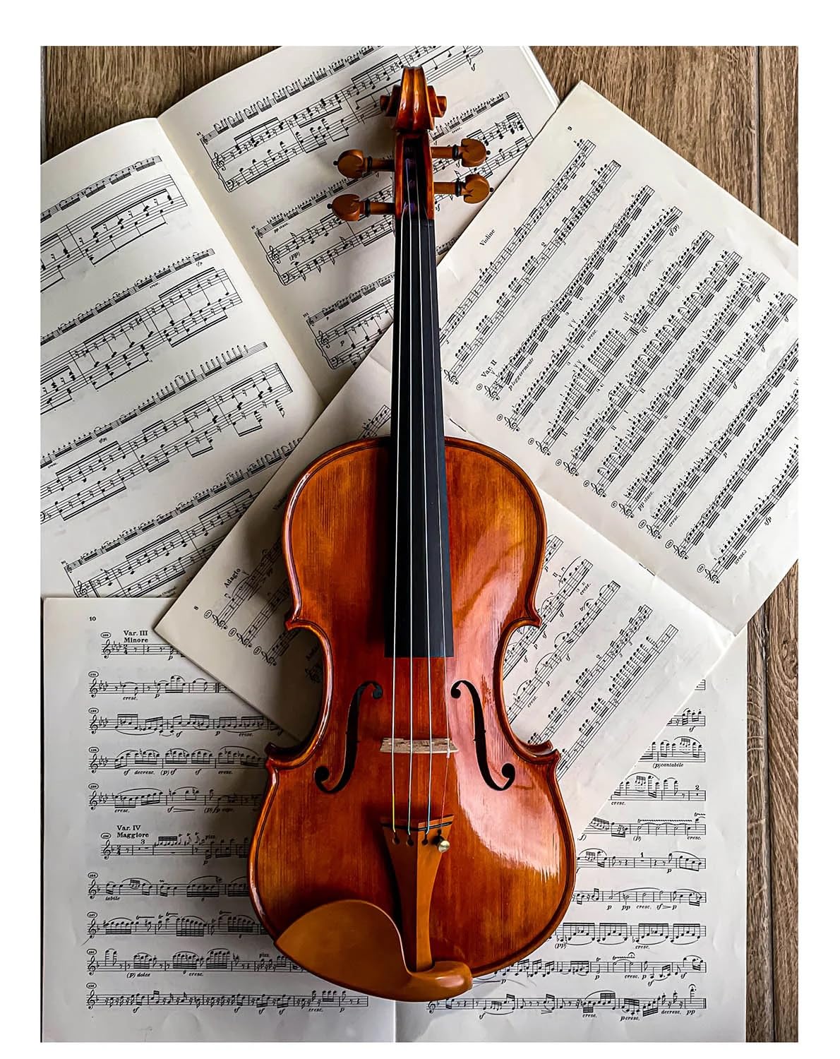 Conrad Gotz ZK1594G Mentonnière Stradivari pour violon, buis