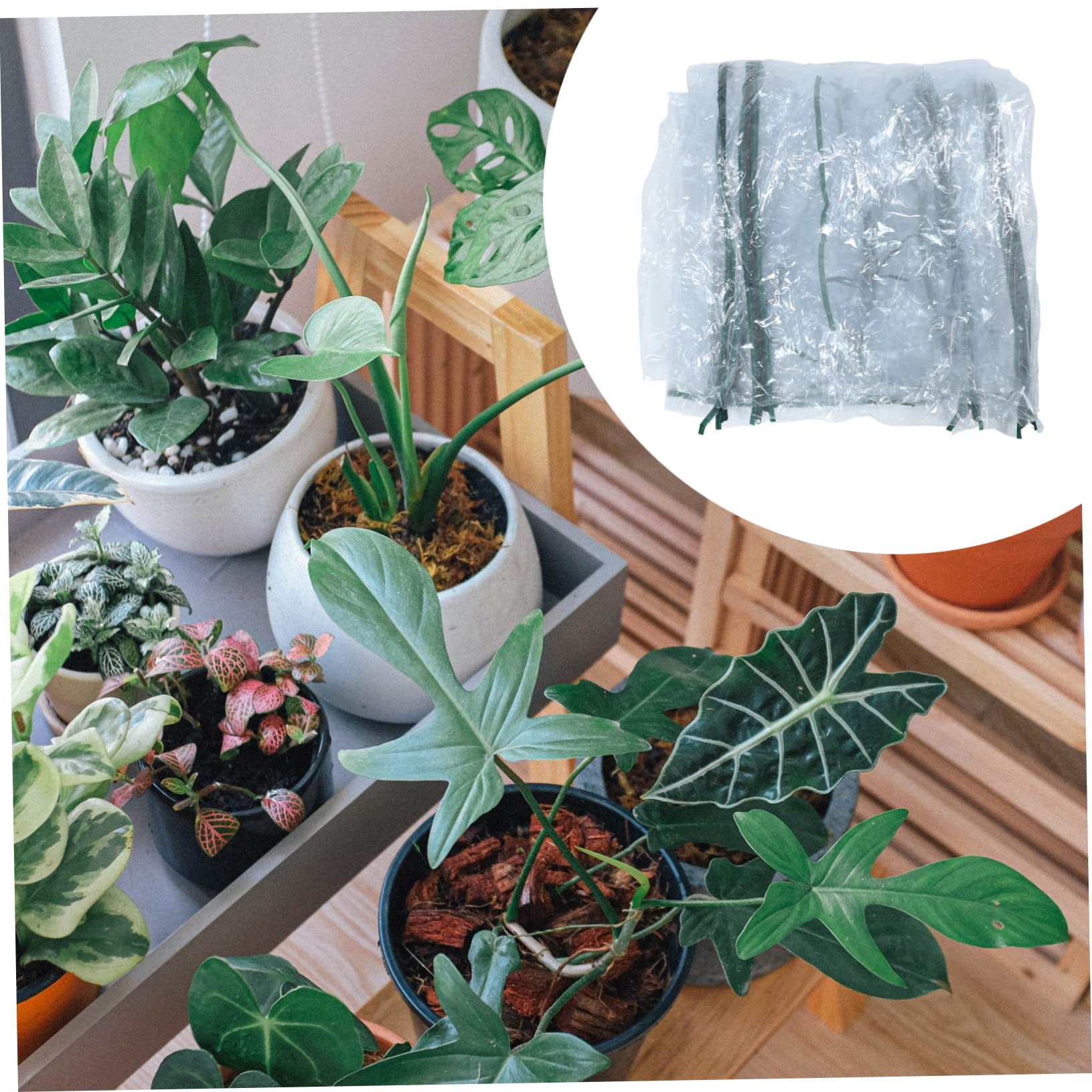 1pezzi Telo per Serra Copertura Protettiva per Piante Design e Resistente Facile da Conservare e Riutilizzare Adatto per Giardini e Terrazzi