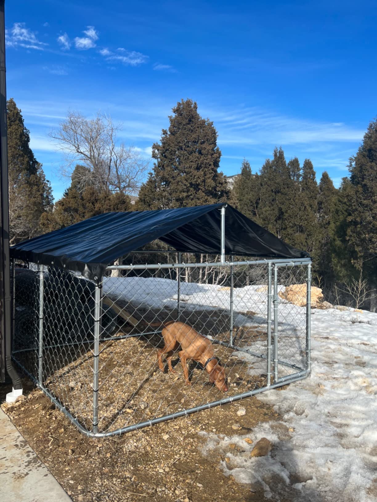 32/mo Finance Petony Outdoor Dog Playpen Heavy Duty Dog Kennel House