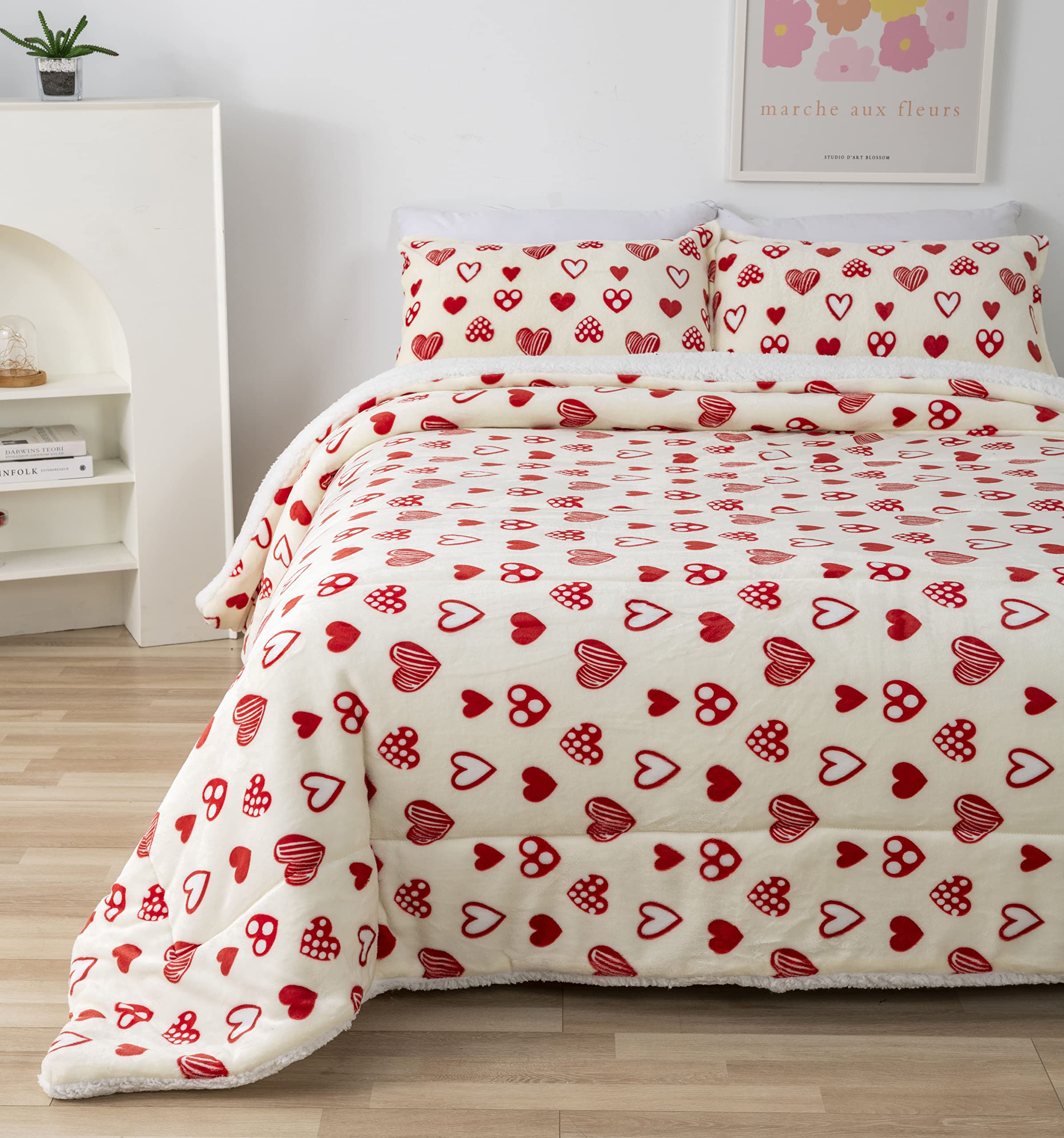 Edredón nórdico con Borreguito Ultra Suave y cálido Set de Cama con Funda de Almohada (Valentin, 220x240CM +2 Funda)