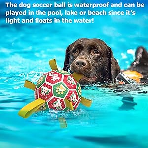 QDAN Christmas Dog Toys: Dog Soccer Ball with Straps for Outdoor Play, Tug of War, Puppy Gifts Durable 8-Inch Dog Balls for Medium Large Dogs