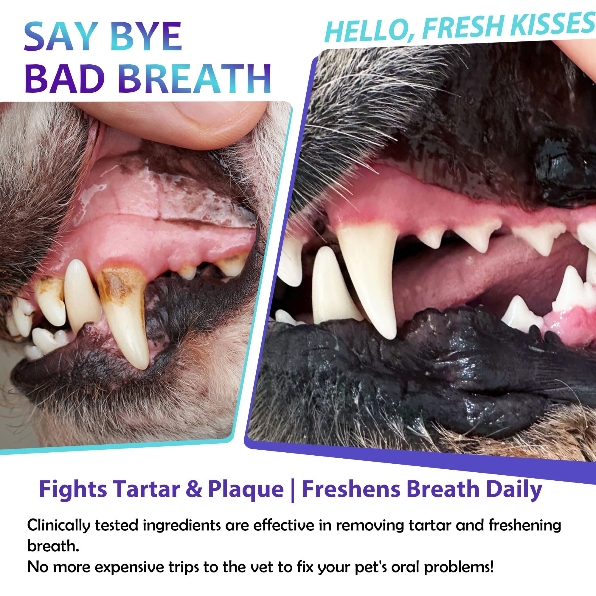 9-in-1 Water Additive for Dogs and Cats, Advanced Plaque and Tartar Control, Teeth Cleaning Solution with Probiotics, Fresh Breath 5.75 Fl Oz (Pack of 1) - image 3