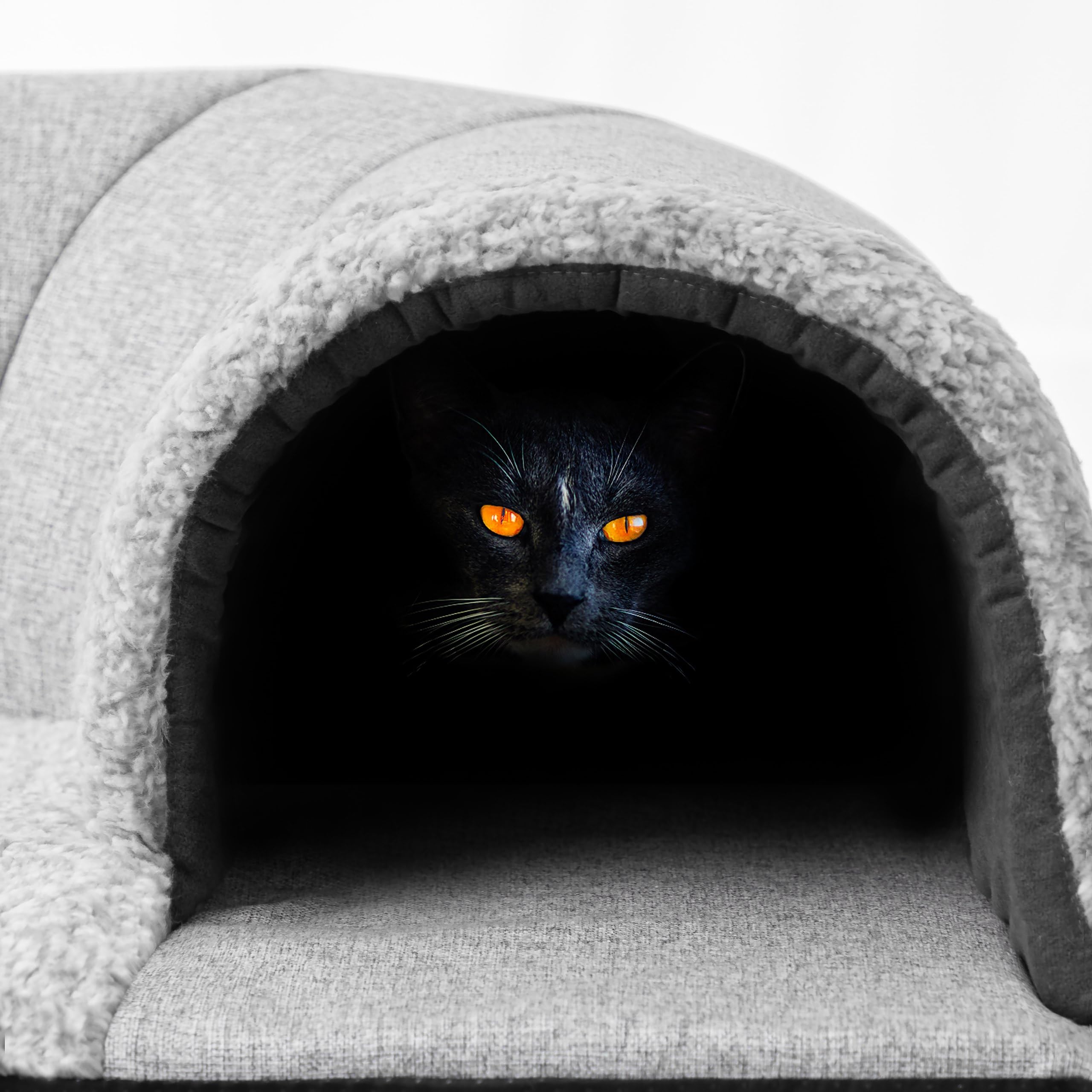 Gatto a tunnel per gatti, cuccia per gatti, cuccia per gatti, cuccia per gatti, cuccia per cani, cenere