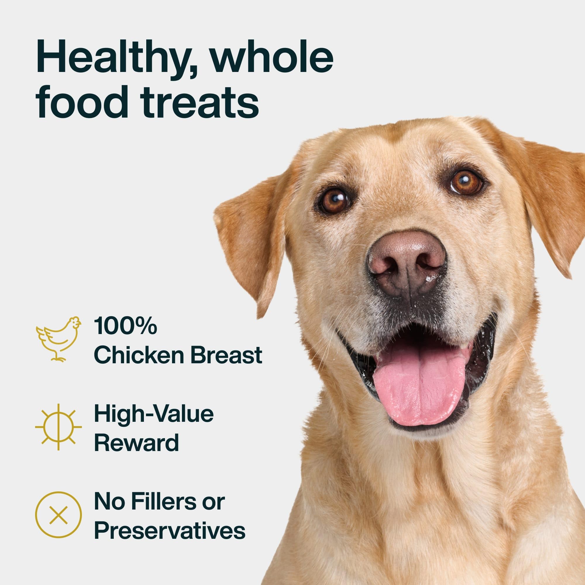 JustFoodForDogs Snack para Perros, Ingredientes Individuales, Pollo, golosinas saludables para Perros, 510 ml