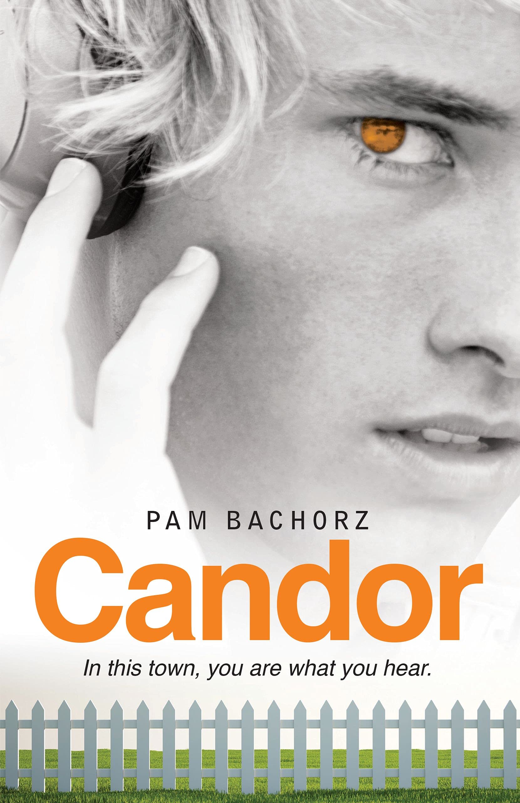 Candor Paperback – December 14, 2010
