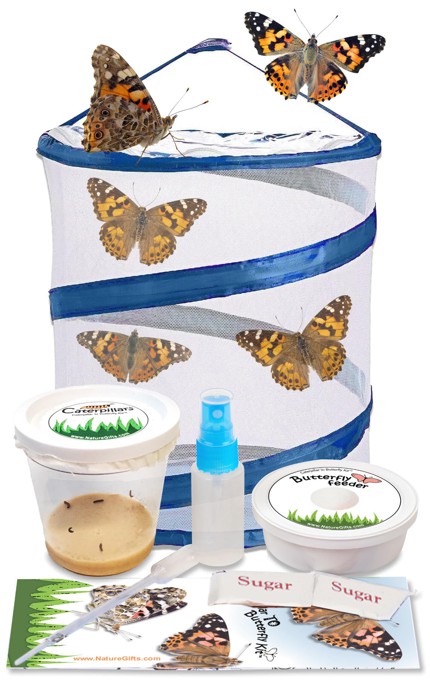 Amazon.com: Butterfly Kit with Live Caterpillars: 5 Live