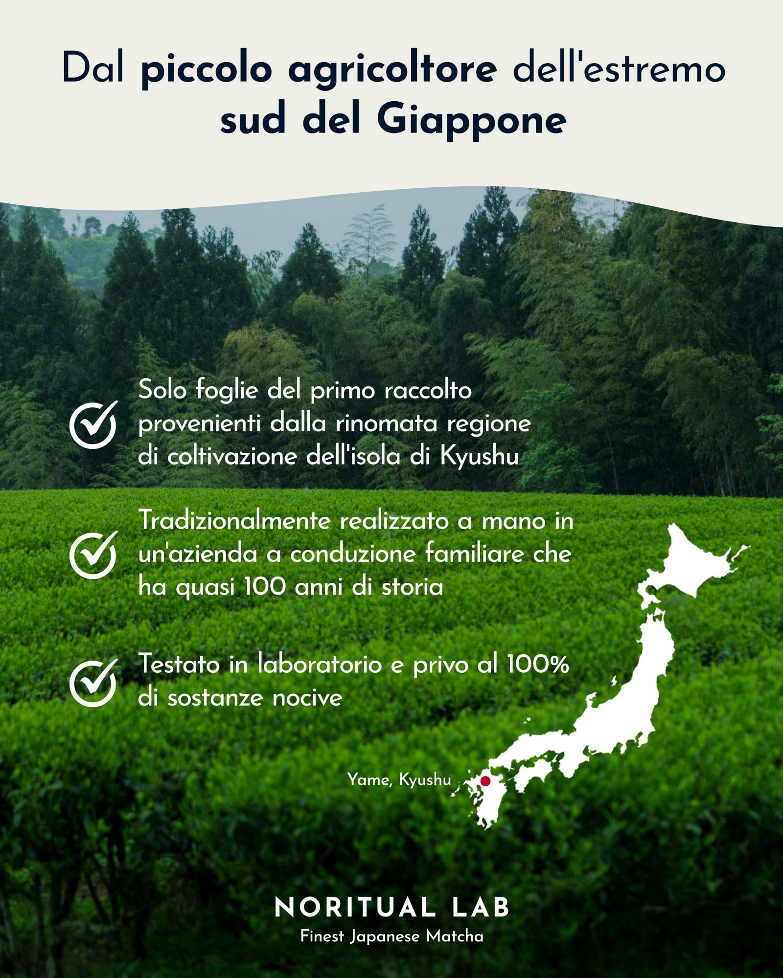 NORITUAL LAB MATCHA – Ceremonial Grade – Originale dal Giappone – rinomata regione di coltivazione sull'isola di Kyushu (40 g)