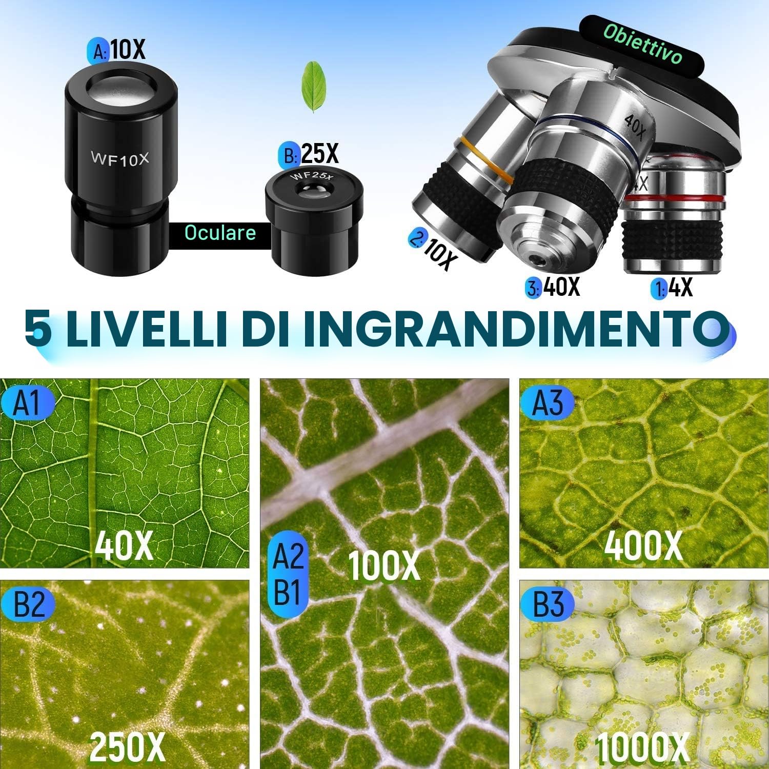 Cowiewie Microscopio Binoculare professionale a trasmissione e riflessione 40X-1000X per luce incidente e trasmessa, con oculare e illuminazione a LED, microscopio per studenti con vetrini