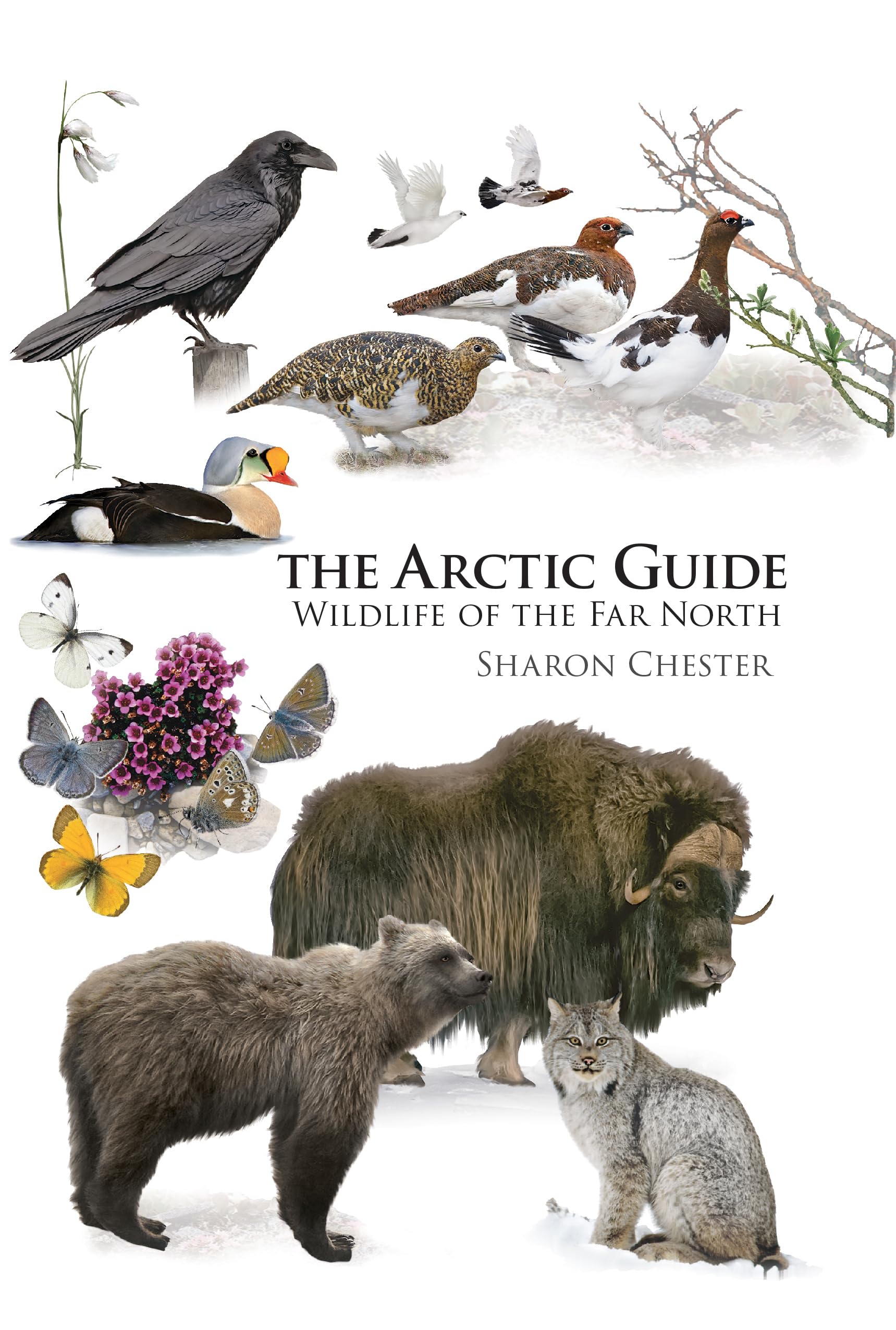 The Arctic Guide: Wildlife of the Far North (Princeton Field Guides) Flexibound – October 4, 2016