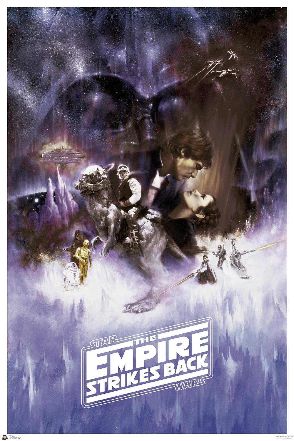 Nifty Star Wars Episode V Poster The Empire Strikes Back (61cm x 91,5cm) + a surprise poster!