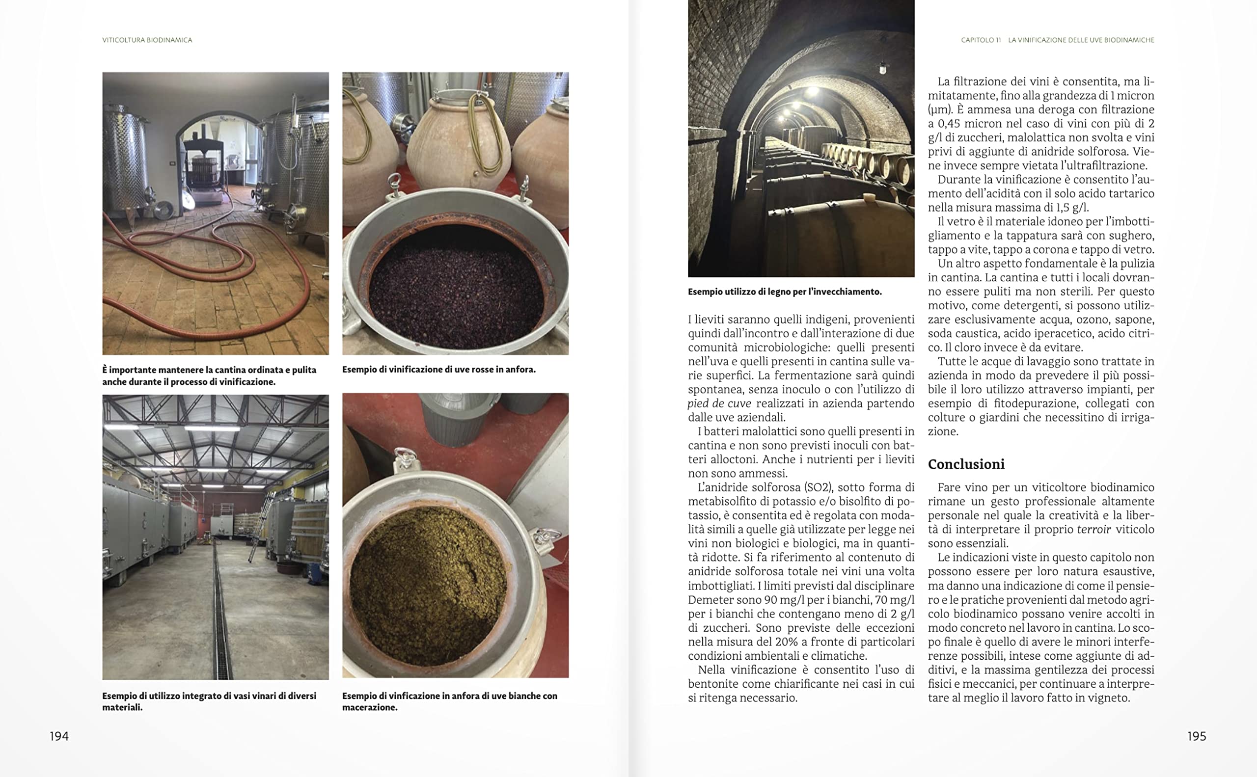 Manuale di viticoltura biodinamica. La prima guida pratica per applicare il metodo agricolo biodinamico al vigneto. Ediz. illustrata