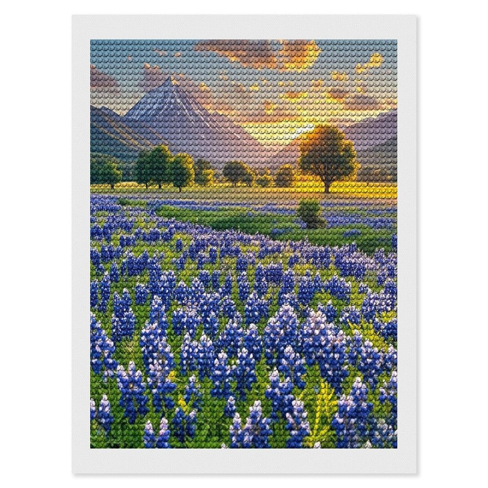 FekiLoot Texas Bluebonnets Scenery Diamond Painting Kits for Adults Full Round Drill Diamond Art Kits for Beginners 5D DIY Diamond Dots Paintings Diamonds Pictures Gem Art Home Wall Decor 12"x16"