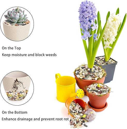 Miniatura 7 de ZENFUN Guijarro de paisajismo de 6 libras, rocas de río, guijarros ornamentales decorativos, piedras de paisajismo de jardín, relleno de grava para