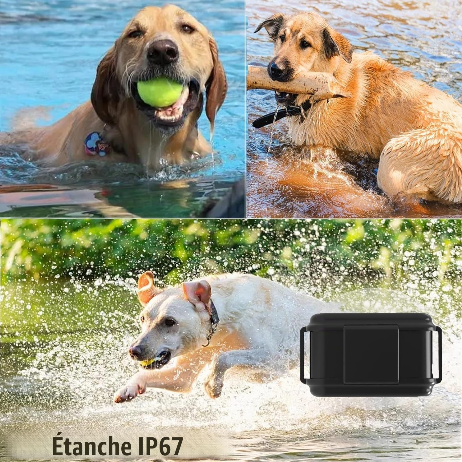 Traceur GPS Chien 4G Collier Gps Pour Chiens Avec Clôture électronique Collier Anti Fugue Chien Uivez Les étapes de Votre Animal via L'app Vous Pouvez le Trouver Par Le Son et la Lumière -APP Gratuite
