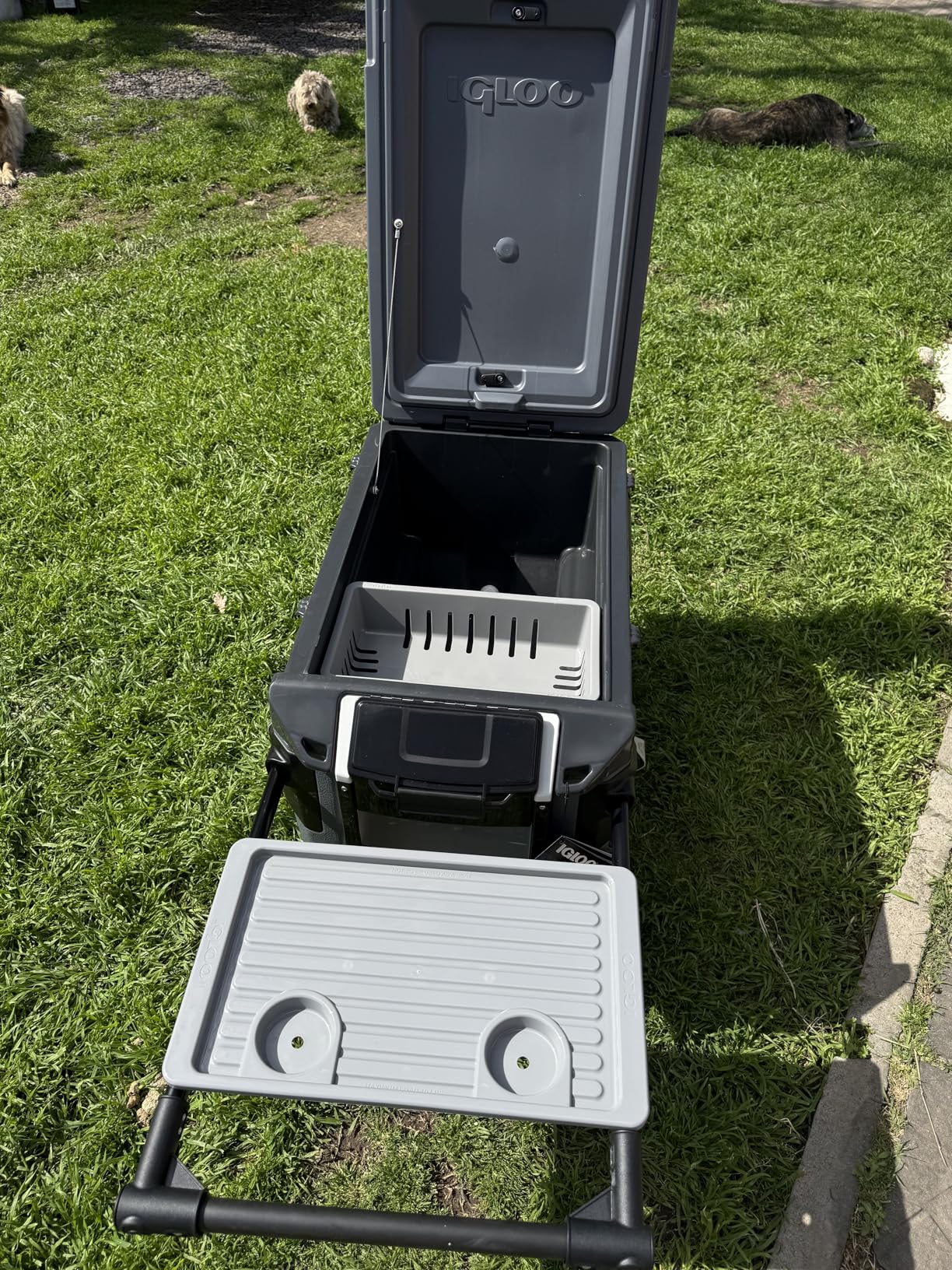 Customer Image