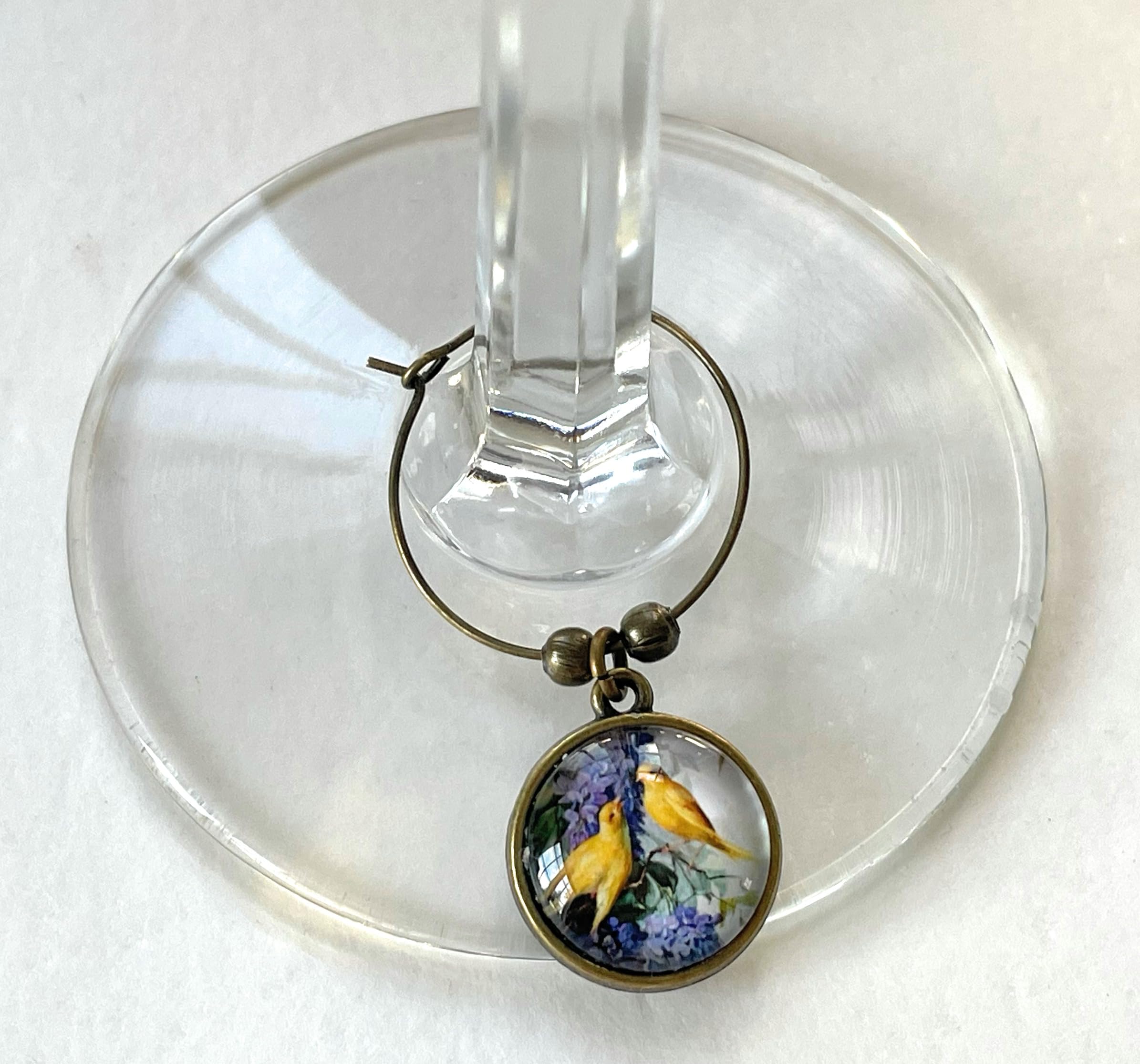 Bird Wine Glass Charms Set of 5 - Stem Markers for Beverages - Cardinal, Bluebird, Owl, Canary