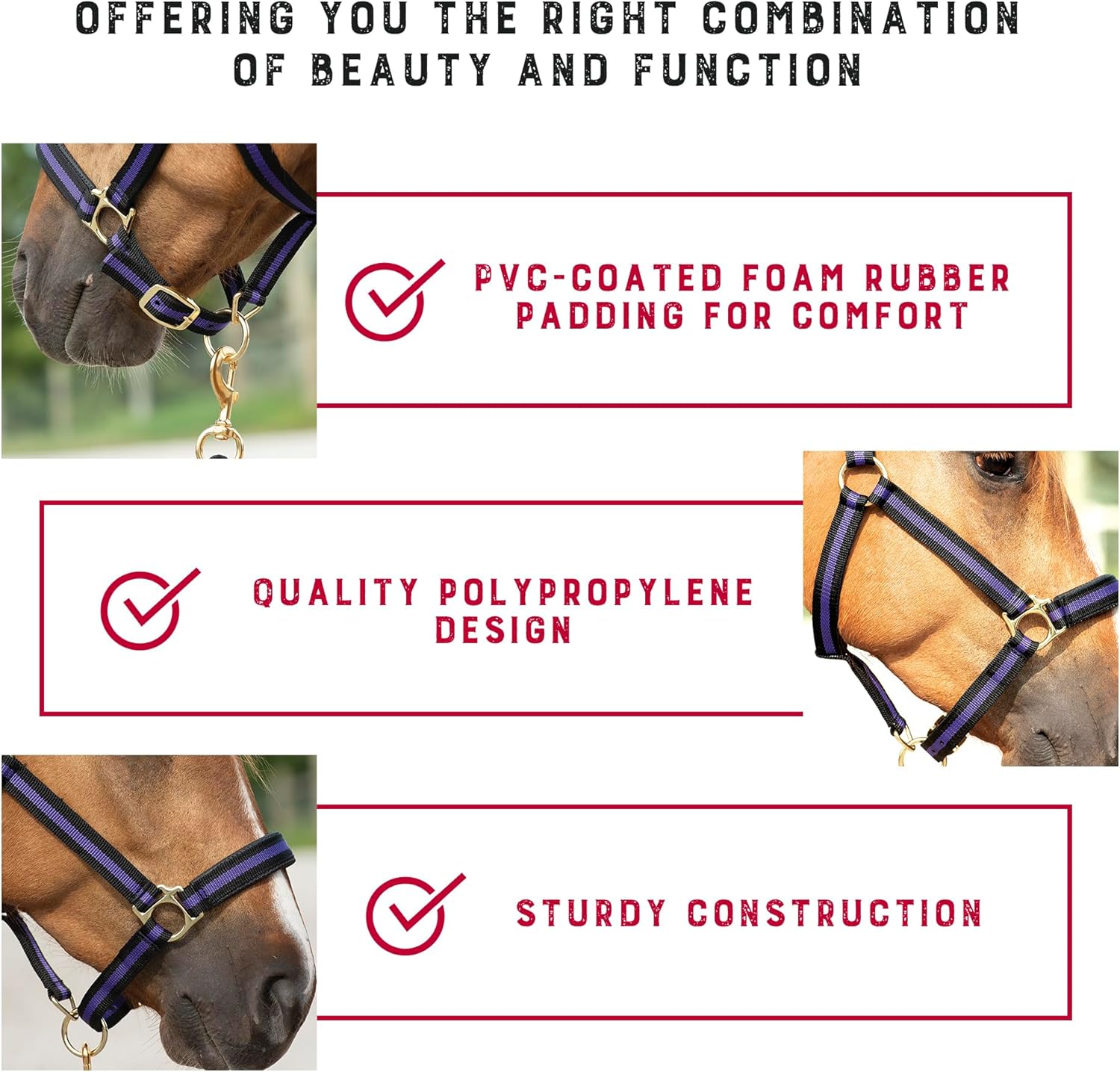 Weaver Equine Breakaway Horse Halter, Comfort Foam Padding, Adjustable Chin & Throat Snap Halters for Horses, Equine Tack,Average Size
