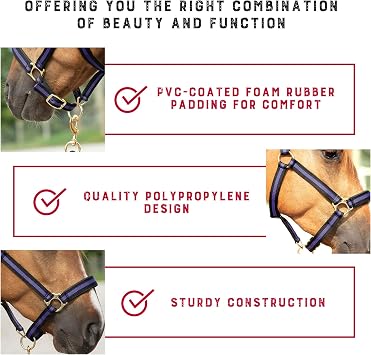 Weaver Equine Breakaway Horse Halter, Comfort Foam Padding, Adjustable Chin & Throat Snap Halters for Horses, Equine Tack,Average Size