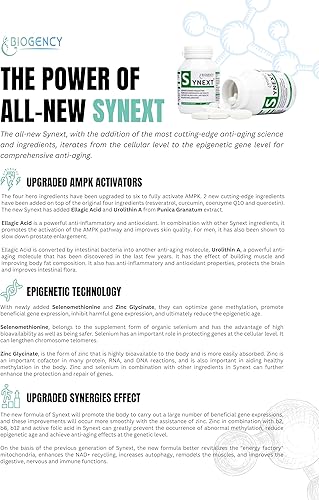 Miniatura 3 de Synext NAD+ Suplemento de 30 pestañas apoya la energía fabricada en Australia