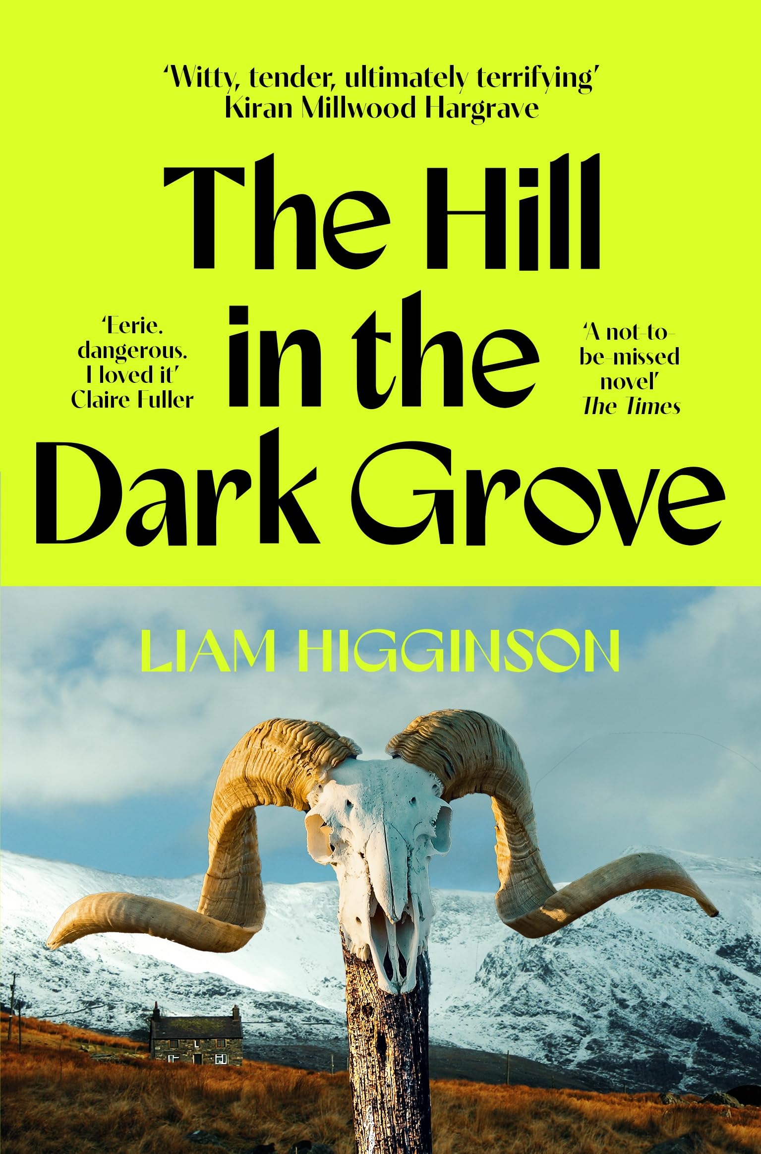The Hill in the Dark Grove: the haunting folk horror novel that will have you gripped