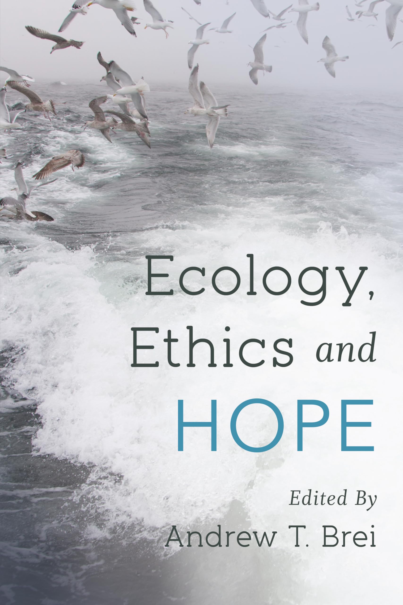 Buy Ecology, Ethics and Hope — BookShops.in