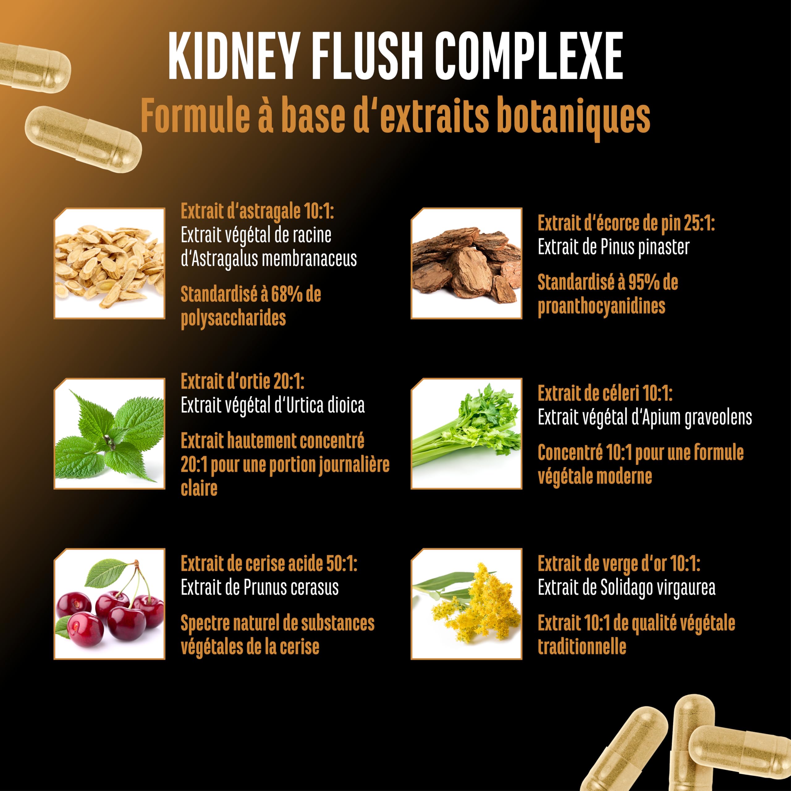 Kidney Essentials - 270 capsules - Complexe Botanical Flush Hautement Dosé avec Extraits d’Astragale, d’Ortie, de Cerise Griotte, d’Écorce de Pin, de Céleri et de Verge d’Or - Vegan