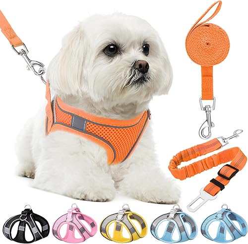 HPETHF Juego de arnés para perros pequeños, suave sin tirones, correa de malla transpirable ajustable y cinturón de arnés para cachorros, perros y