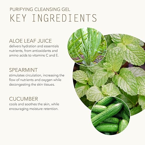 Miniatura 3 de TAMMY FENDER - Gel limpiador purificante natural  Cuidado de la piel limpio, no tóxico, a base de plantas (6 fl oz  6.28 oz)