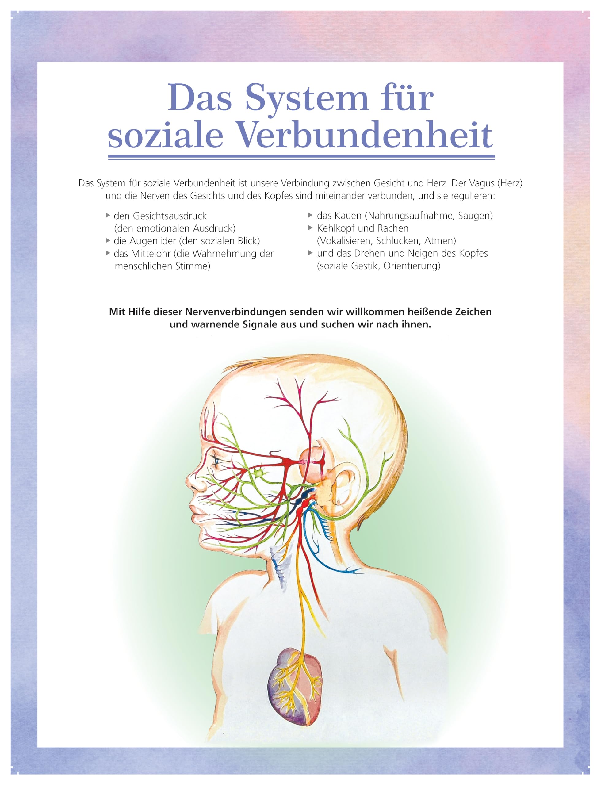 Flipchart Polyvagal-Theorie: Der Einfluß des Autonomen Nervensystems auf das Erleben von Sicherheit und Verbundenheit
