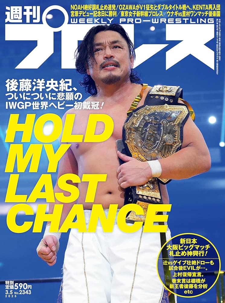 別冊プロレス増刊★秘蔵写真とセレクトされた記録でつづる 日本のプロレス30年史 プロレスリングNOAH25年史(B.B.MOOK 1679) | 週刊プロレス