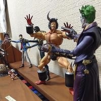 S.H.フィギュアーツ バットマン ジョーカー (INJUSTICE ver.) 約160mm ABS&amp;PVC&amp;ダイキャスト製 塗装済み可動フィギュア d2ldlup Amazon.co.jp: TAMASHII NATIONS S.H.フィギュアーツ バットマン