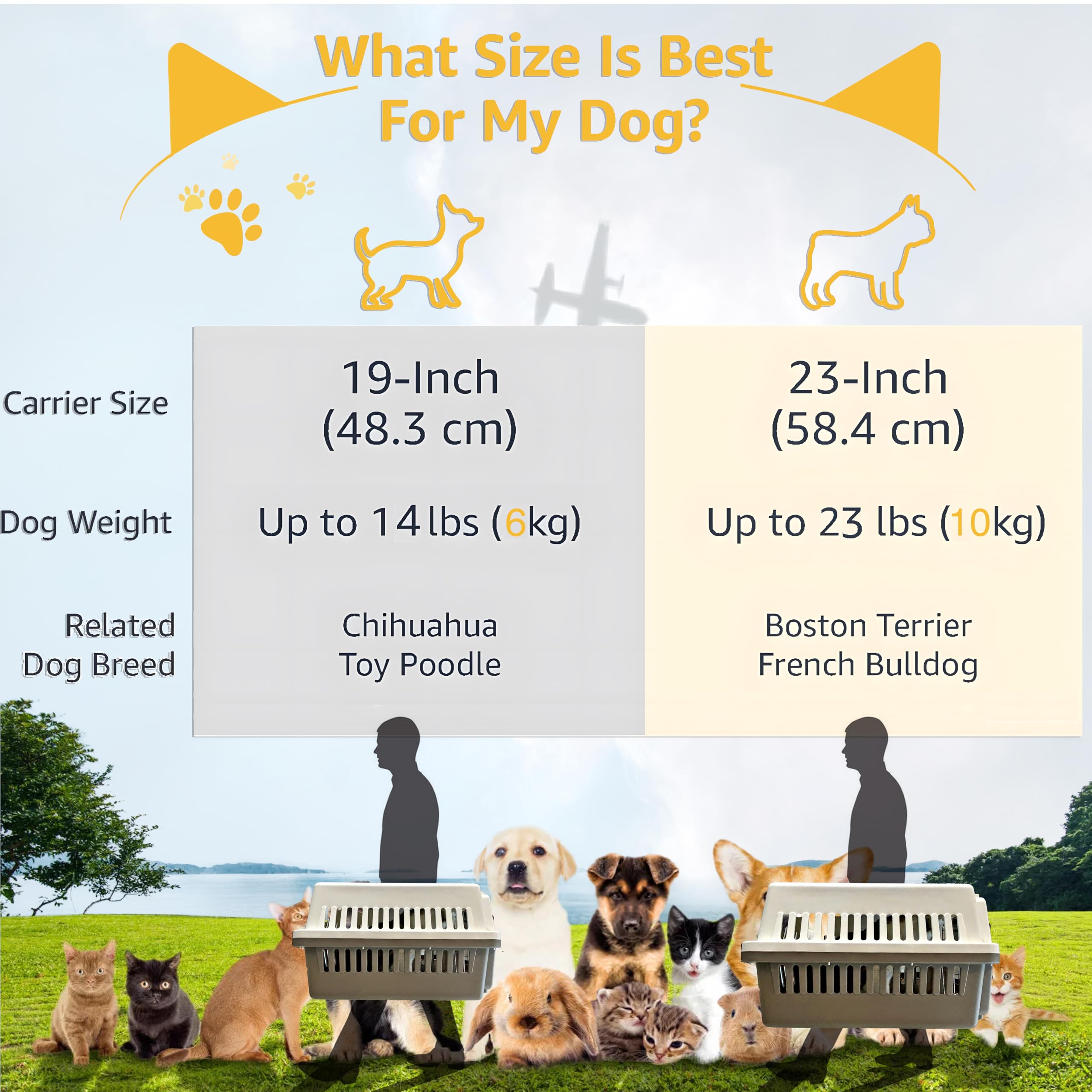LLGJ-Pets Carrier, Kennel, 23 In. Long, Hard-Sided, for Dog/Cat up to 20 lbs, Suit for Airline/Road Travel (Orange) - image 4