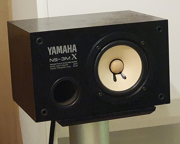 Amazon.co.jp: ヤマハ YAMAHA フルレンジスピーカー システム NS-3MX