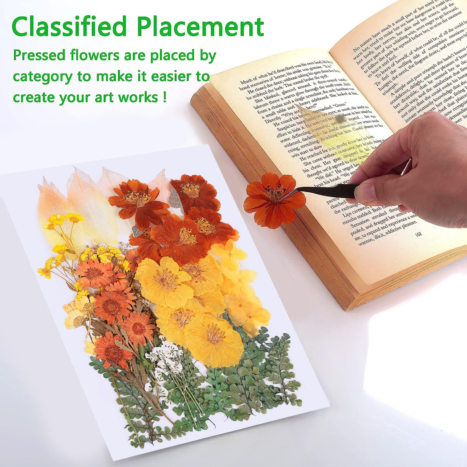AHTONG 100 Stück echte getrocknete gepresste Blumen, Blätter, natürliche Pflanze, Herbarium für DIY-Harzform, Schmuckherstellung, Handwerk (20 Stile), Herbstgelb, Orange